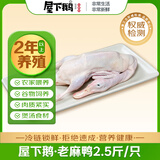 屋下鹅 2年老麻鸭 净重2.5斤/只 浙江绍兴农家散养鸭子鸭肉老鸭鸭货