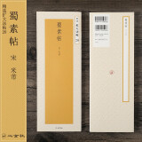 二玄社 进口字帖 蜀素帖之精选扩大法帖20 文房四宝毛笔字帖临摹书法用品