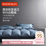 斯诺曼加厚高档100支贡缎进口95白鹅绒羽绒被芯冬被子2.2*2.4m充1500g蓝