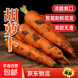 河南新鲜脆甜胡萝卜农家水果萝卜手抓饭伴侣蔬菜夏季减脂胡萝卜 3斤【含箱】