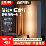 落地灯ins简约北欧led客厅现代轻奢卧室台灯床头灯墙角护眼氛围灯 【插电100CM】按键暖光