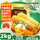 东北农嫂糯玉米段多色可选软糯香吉林原产粘玉米真空低脂粗粮主食 【爆款礼盒】黄糯玉米礼盒2kg 约8根