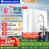 惠尔顿YK8净水器家用直饮厨下式等效1000G过滤器纳滤膜滤芯厨房自来水优矿净水机母婴净饮机