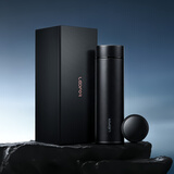 雷德夫（LEIDFOR）T26 纯钛保温杯磨砂黑色380ml 男士商务泡茶开学礼物 开学教师节