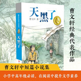 曹文轩纯美小说：天黑了/国际安徒生奖得主曹文轩中短篇小说集代表作，有情、有趣、有回味、有启示的成长故事。 