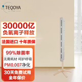 得康氧 teqair450小粒径负氧离子发生器家用负离子空气净化器除甲醛无臭氧无噪音无耗材 teqair450白色