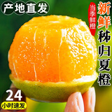 卓励行广西夏橙新鲜橙子现摘手剥橙脐橙新鲜当季水果 夏橙 5斤带箱单果70-80大果精品
