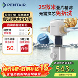 滨特尔（pentair）前置过滤器大通量家用全屋自来水管道过滤器大流量净水器排行前十名水驱涡轮+反冲洗刮洗净水器 【新品升级】L250仿鳃叠片-25μm