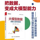 大模型数据：原理、技术与实战 数据工程与能力 MinerU OpenDataLab DeepSeek 豆包 workbuddy