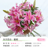 花翁香水百合种球重瓣盆栽进口球根好养花园庭院花卉绿植物源头直发