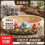 花盆绿植盆栽大口径拼盘多肉陶瓷素烧透气粗陶桌面绿植手绘小花盆 JB五彩蘑菇拼盘组合2个 【看图标注】