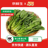 京鲜生&东升供港菠菜苗250g 鹦鹉菜 新鲜采摘 广东源头直发