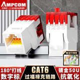 安普康（AMPCOM）网络模块六类 千兆CAT6类网线信息插座面板 RJ45非屏蔽镀金水晶头180°打线网口 白色 AC6208WT