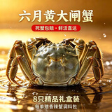【活蟹】 阳澄易顺大闸蟹 鲜活特大螃蟹公母蟹 水产生鲜年货礼盒 六月黄大闸蟹3.5-3.8两  八只礼盒装