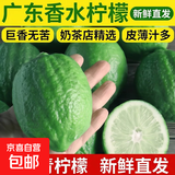 广东香水柠檬包邮新鲜水果柠檬精选皮薄奶茶店【百补优选】 柠檬带箱1斤      单果净重70g+