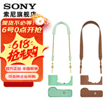 索尼（SONY）相机包    高颜值 摄像机 微单相机包 复古相机套 肩带 薄荷绿+肩带经典套装（ZV-E10专用）