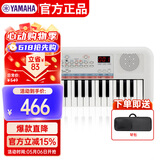 雅马哈（YAMAHA）PSS-E30 电子琴多功能初学者音感小白琴生日儿童节礼物标配+琴包
