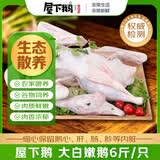 屋下鹅 嫩鹅 净重6斤/个 带鹅腿 冷冻散养 农家散养土鹅嫩鹅整只鹅大鹅