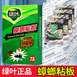 绿叶蟑螂粘板捕捉蟑螂器蟑螂贴粘板纸家用灭蟑螂 40片两盒装
