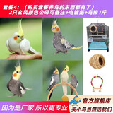万宠汇 鸟活体虎皮鹦鹉笼养牡丹玄风活鸟学说话手养小太阳鹦鹉宠物鹦鹉 玄风2只公母备注+电镀笼+粮1斤