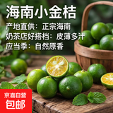 海南小金桔新鲜青柠檬青柑皮薄应当季奶茶店水果柠檬青桔皮薄多汁 金桔（5-10g）带箱2斤 净重 1.7