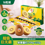 佳沛（zespri）新西兰阳光金奇异果原箱 16粒巨无霸 单果约204-233g   水果礼盒
