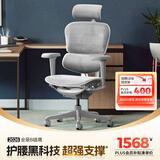 Ergonor保友金豪b雄鹰 人体工学椅 电脑椅 电竞椅办公椅子可躺老板椅 【金豪b雄鹰X】银白网