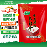 十月稻田 长粒香大米 300g 东北大米 香米 小包装