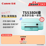佳能（Canon）TS5380t-粉绿 无线家用彩色喷墨多功能照片一体机（打印/复印/扫描/自动双面 学生作业/照片）