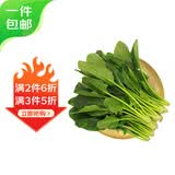 京鲜生新鲜菠菜 净重650g 简装 新鲜蔬菜源头直发