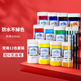 美邦祈富（BGI-WAPM）丙烯颜料300ml大红色墙绘防水防晒不掉色石膏娃娃石墩肌理画diy材料A8056速写马克笔绘画经典12色