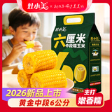 灶小美黄糯玉米段【内蒙古产地】甜糯香粘粘苞米粗粮早餐 源头直发包邮