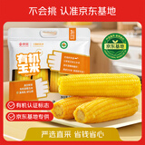 天勤粒粒净【京东基地】黄甜糯有机玉米（6斤）10穗*300g 官方溯源采销甄选