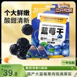 三只松鼠每日蓝莓干500g 蜜饯果干酸甜休闲零食下午茶孕妇儿童健康零食