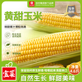 佳农宝菜山东带皮鲜水果玉米单根300g+净重4.6斤4-7根源头直发