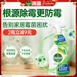 滴露（Dettol）除霉剂500ml 除霉喷雾除霉防霉杀菌除味防潮墙面洗衣机霉菌清洁剂