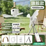杜美森宿舍吊扇床上电风扇静音悬挂小风扇蚊帐风扇usb户外露营帐篷小吊扇遥控便携卧室充电风扇小型风宝 10000毫安套装【3米线+原装充电头+桌面支架】 3档护眼灯丨遥控定时丨模拟自然风丨桌/挂两用