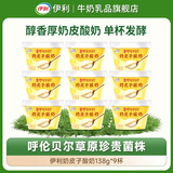 伊利宫酪 呼伦贝尔奶皮子酸奶 醇香厚奶皮风味酸乳 伊利宫酪奶皮子酸奶138g*9杯