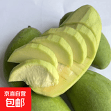 生吃大青芒酸野应季芒果酸脆新鲜水果越南广西广东海南青皮芒 3斤（送3包椒盐粉+3包酸梅粉）