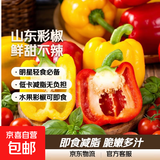 彩椒五彩甜椒水果圆椒不辣太空椒灯笼椒新鲜可即食减脂蔬菜 山东彩椒红+黄3斤净重2.5斤