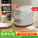 虎牌（TIGER）电饭煲微电脑电饭锅家用 4-5人份 5L JAX-C18C