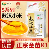 赤川敖汉黄小米4斤 金苗k1-S系列（内蒙古赤峰小米粥杂粮粥）25年新米
