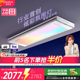 好太太（Hotata）光影电动晾衣架智能隐形超薄阳台离线语音升降晾衣杆T30Pro-ZL