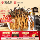 雷允上冬虫夏草约5根/g 1g约5根自用滋补送长辈教师节高端中秋节礼物