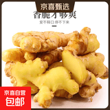 【东东买菜】新鲜贵州生姜子小黄姜水洗净姜月子老黄姜蔬菜调料 高山小黄姜200g