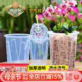 德沃多控根透明花盆10口径*3个园艺绿植盆栽种植盆种菜盆养花多肉塑料盆