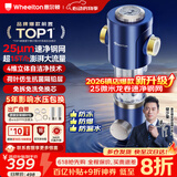 惠尔顿前置过滤器15T大通量过滤25微米反冲洗家用全屋净水器 实时自动清洗刮洗自来水防爆过滤器P0038pro 自行安装【15T-升级25微米精滤】
