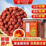 南京同仁堂昆仑雪菊胎菊新疆特级野生正宗天山冰血菊花茶护肝去降火清热解毒