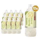 寿全斋五指毛桃茯苓水薏米水无糖凉茶饮料大瓶饮料整箱750ml*12瓶