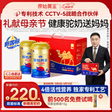 原始黄金新疆正品骆驼奶粉330g*2罐益生菌驼乳粉中老年儿童成人母亲节礼盒